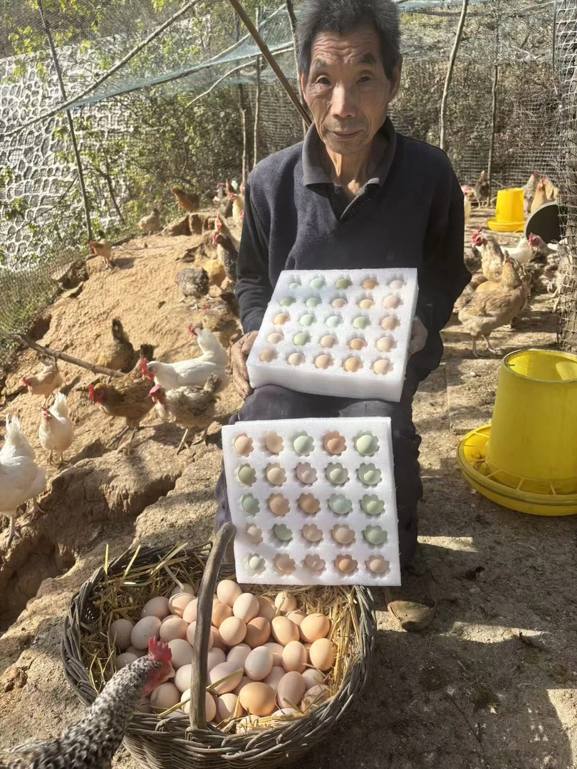 【50枚粉绿拼装】爷爷在老家纯粮喂养柴土鸡蛋、无抗生素健康食品