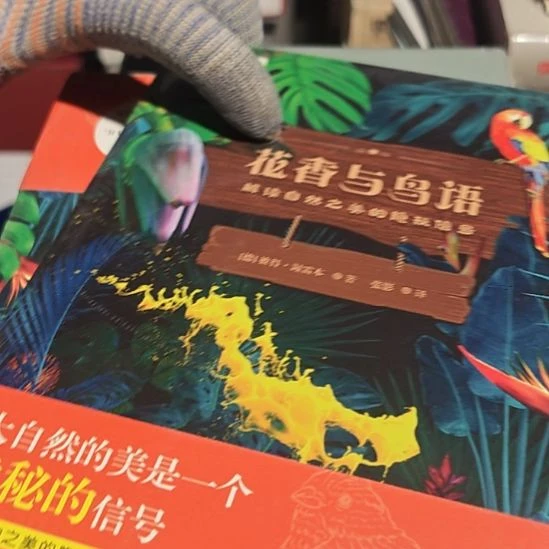 花香与鸟语平装库存书