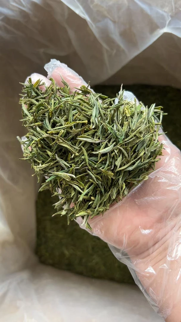 2025新茶 霍山黄芽 高山茶浓香耐泡 250g-500g 袋装