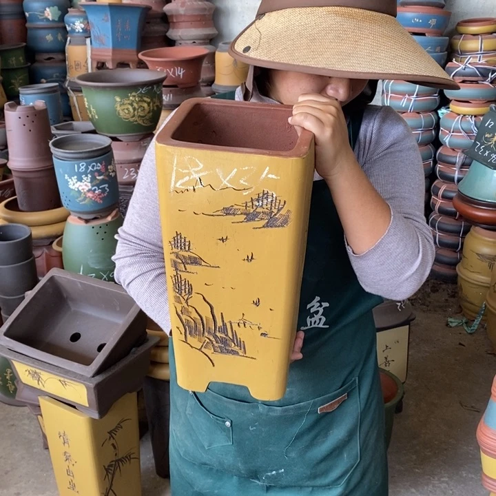 紫砂花盆盆栽花卉苗木种植