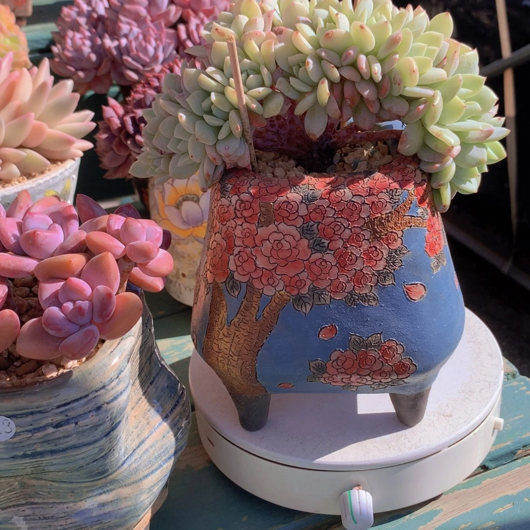 静雪朵朵自然群无砍