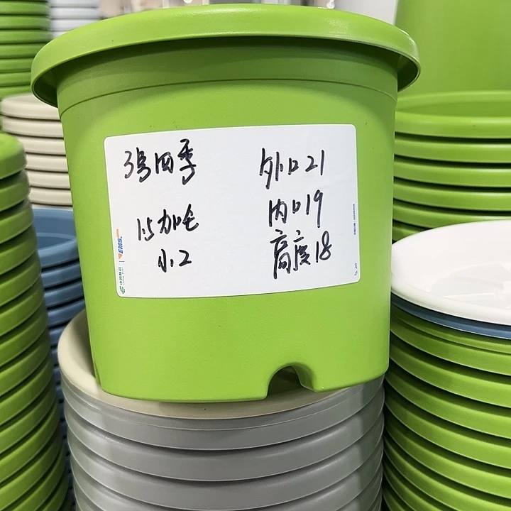 正品3四季口21高18果绿无托10只