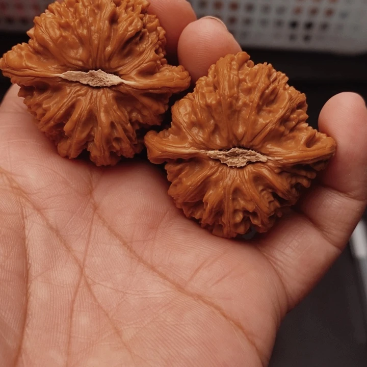 核桃密纹42尺核桃