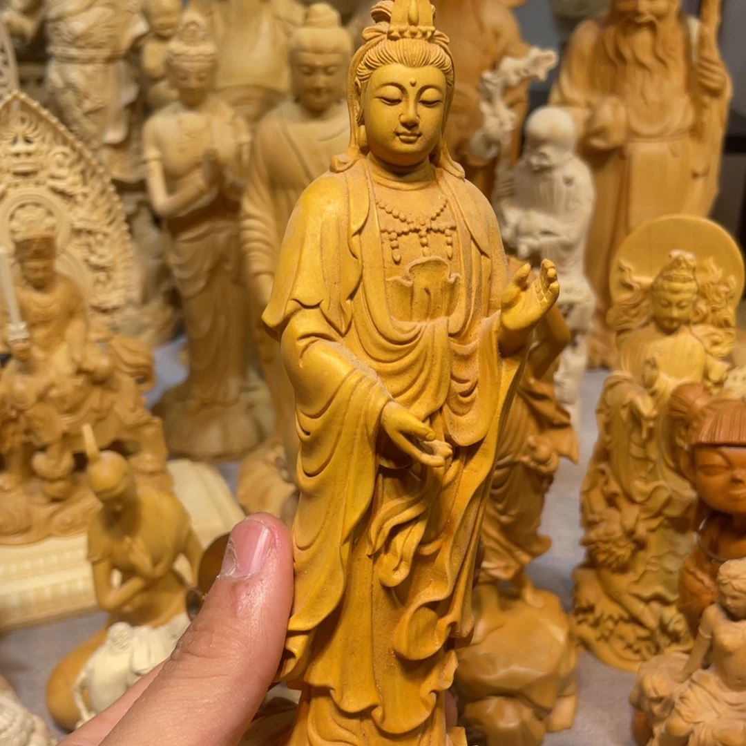 樂***L黄杨木黄杨大势士