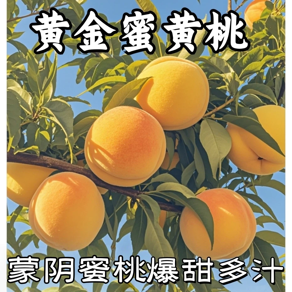 山东蜜桃黄毛桃现摘黄桃新鲜黄桃黄金蜜水蜜桃毛桃子蒙阴黄金蜜