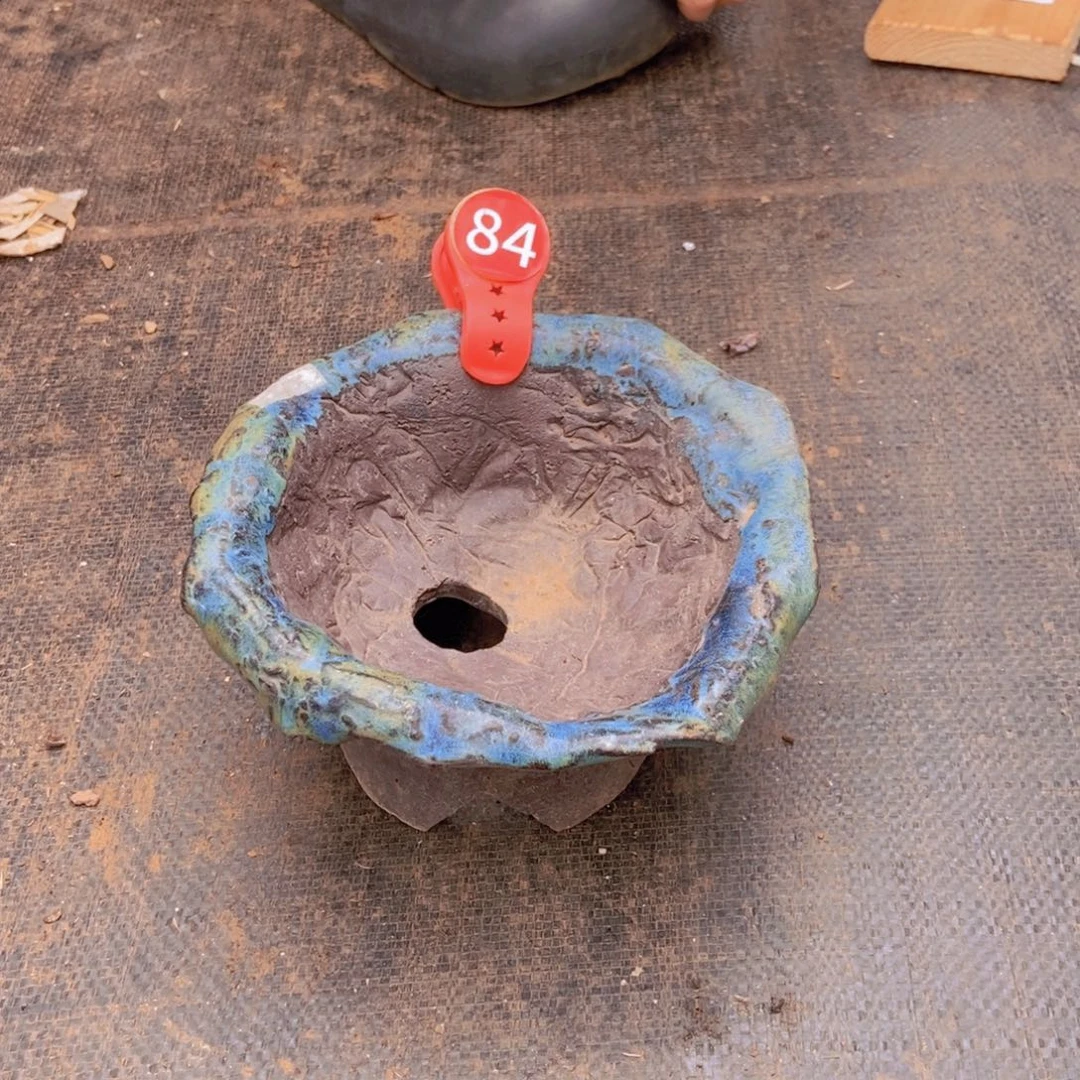 爱***肉花盆一个。