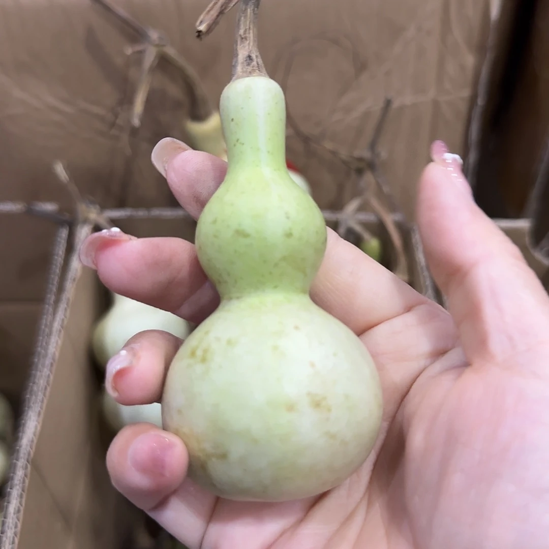 快***叔葫芦刚刚GVG后gggg