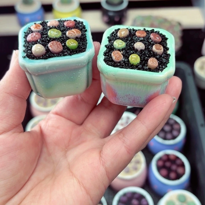 581零下地区记得拍保温箱