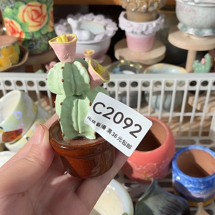 花盆花盆花盆花盆