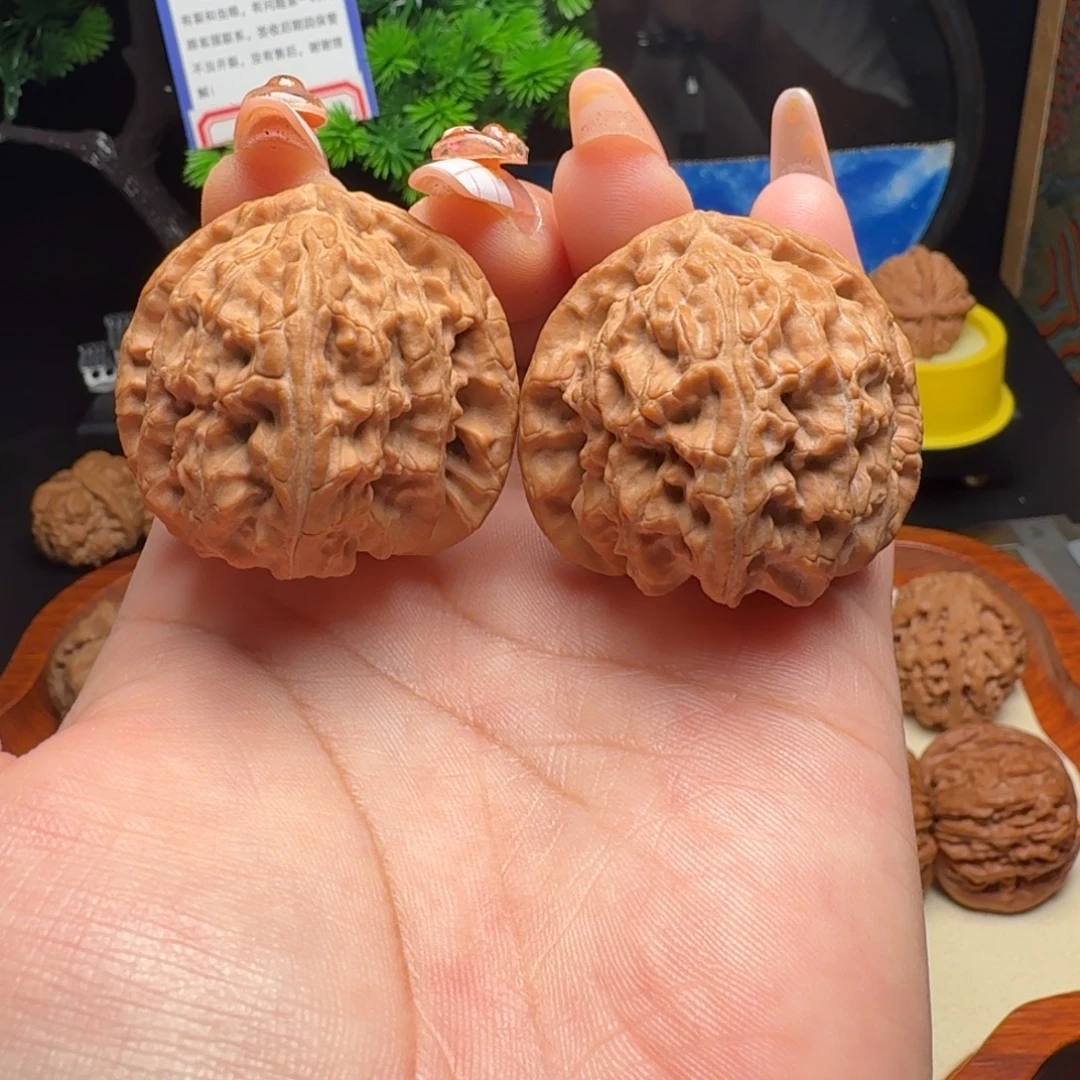 文玩核桃把件全品无药新果39.5白狮子
