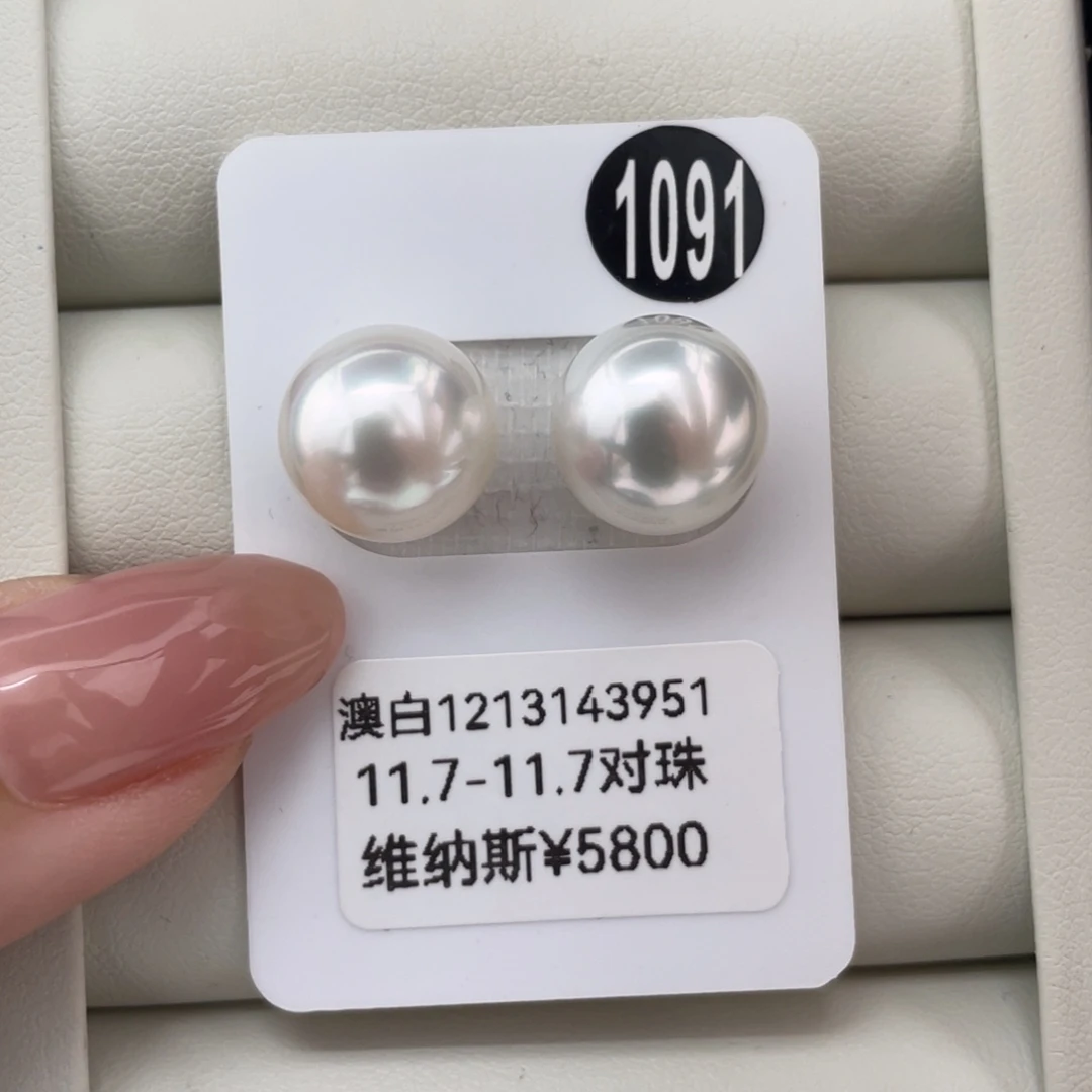定制海水珍珠未镶嵌耳饰澳白维纳斯11.7-11.7mm