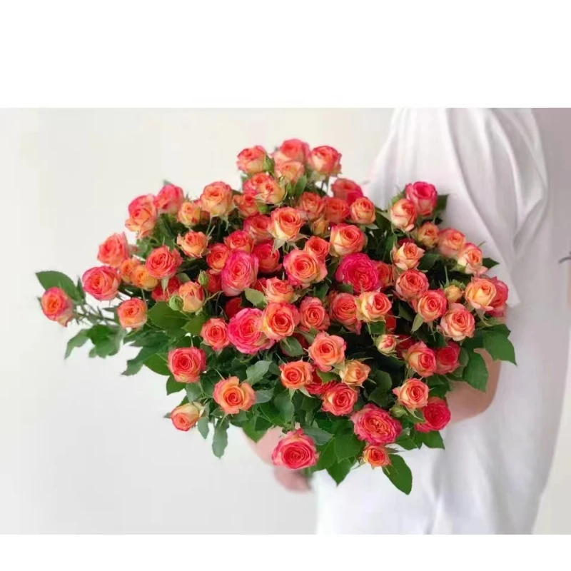 【爱丽丝】黄色 单头玫瑰  真花 鲜花  一单中通 拍够任意两单鲜花