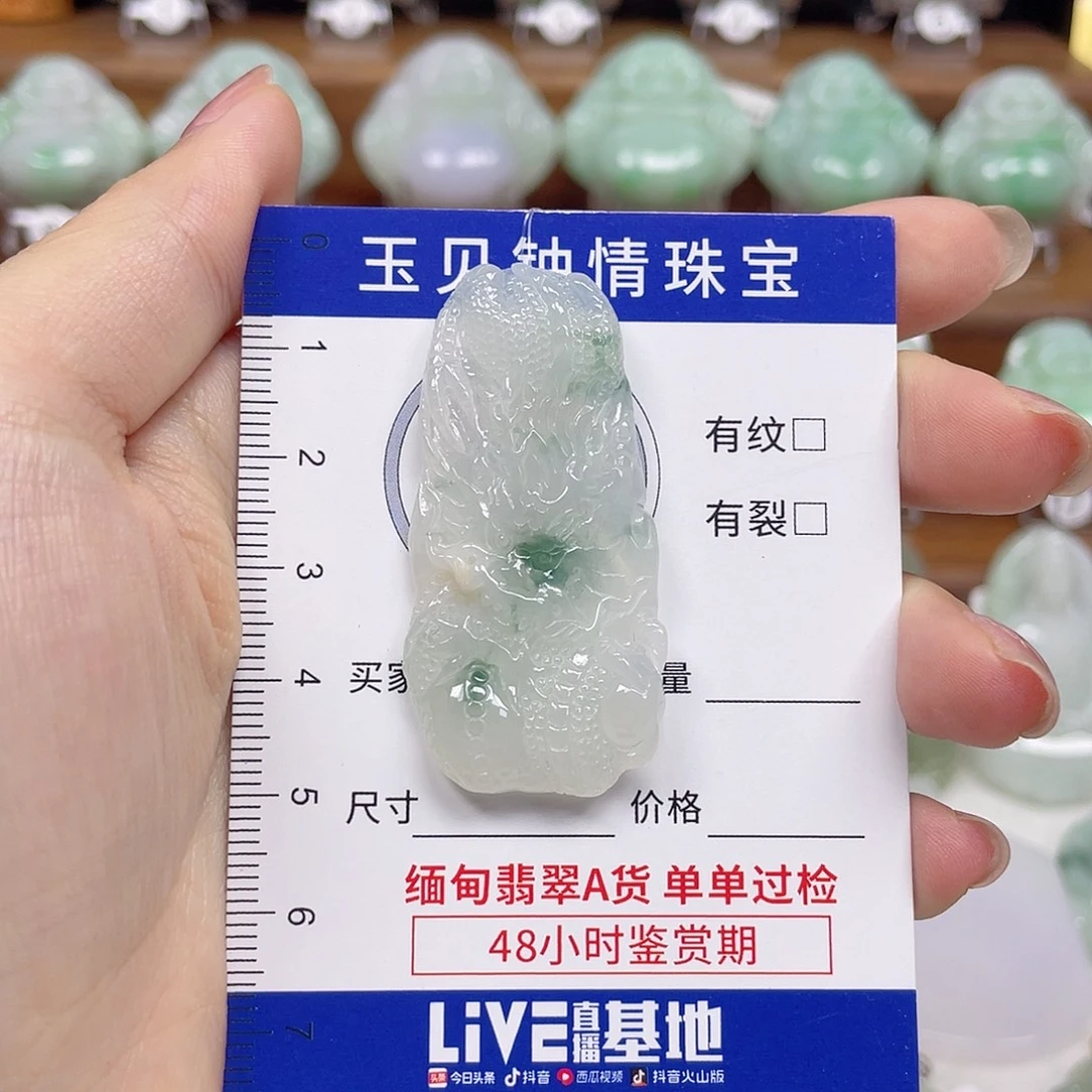 翡翠未镶嵌颈饰龙牌