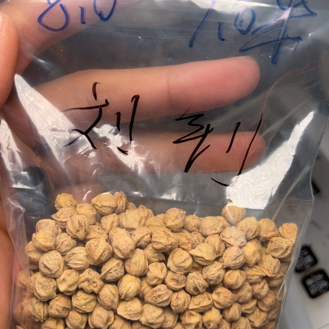 刘***钊柏香籽/百香籽吊坠