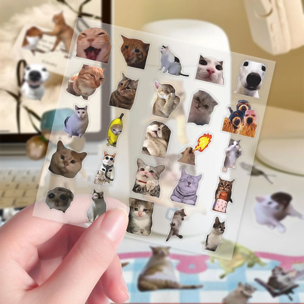 【佳宝】303贴透明款猫meme贴纸ins风创意简约卡通猫咪表情包
