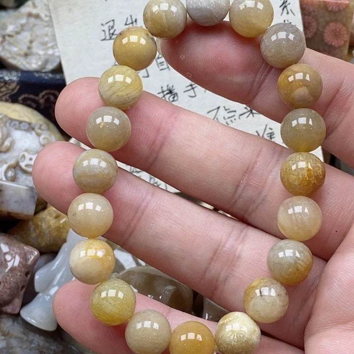 硅化珊瑚（珊瑚玉）未镶嵌颈饰