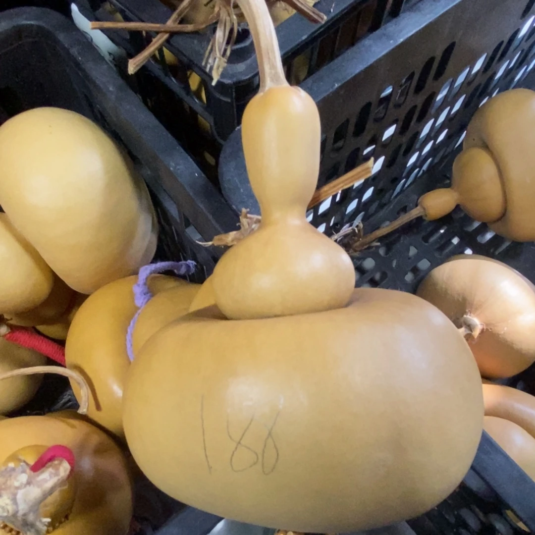 直播间钱袋子一物一价