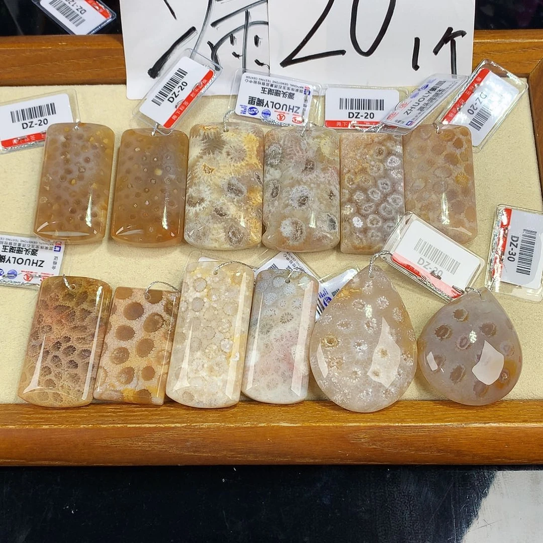 硅化珊瑚（珊瑚玉）未镶嵌吊坠(赠链)54号吊坠20一个