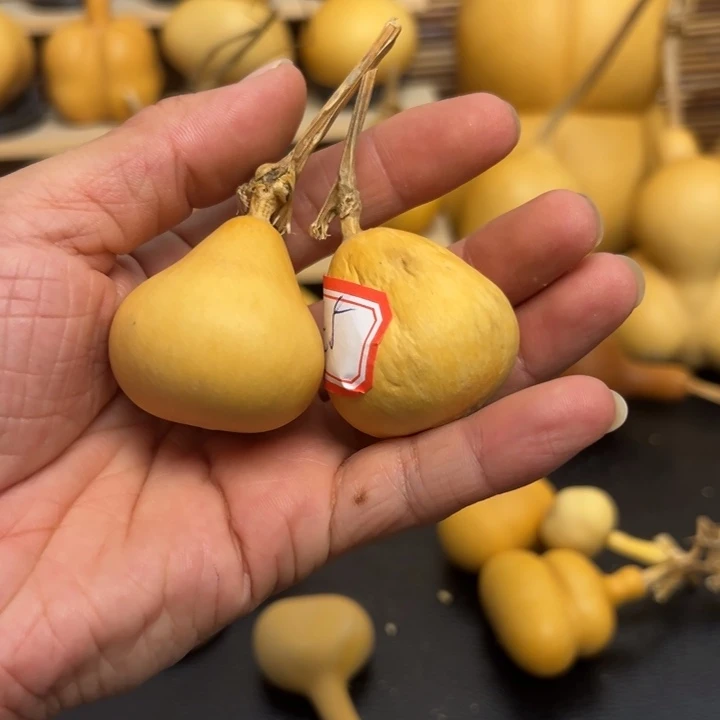 '**•26666899999999999