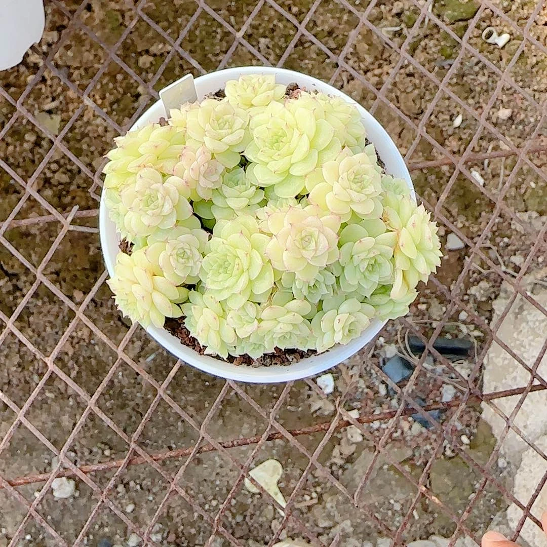 1219-76（ppt-18）优选