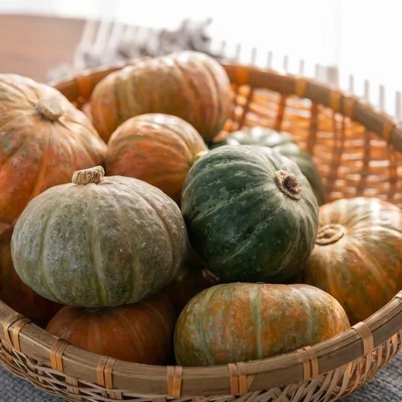 正宗三色栗栗贝贝南瓜粉面香甜板栗味产地直发宝宝辅食营养健康