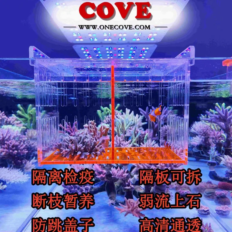 德国Cove科夫鱼缸亚克力隔离盒海鱼淡水鱼苗幼鱼孵化盒繁殖盒检疫