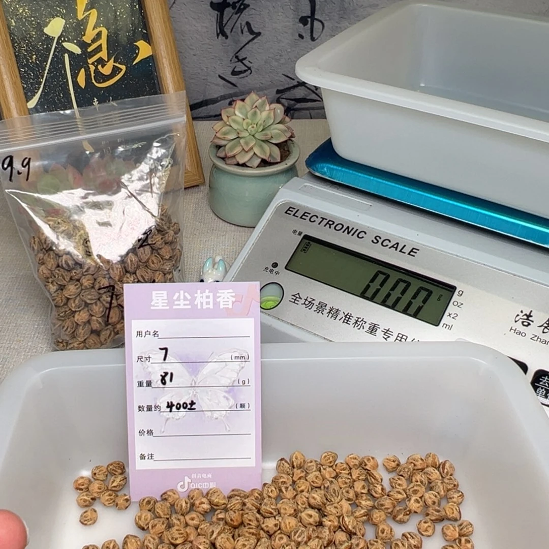 柏香籽/百香籽吊坠