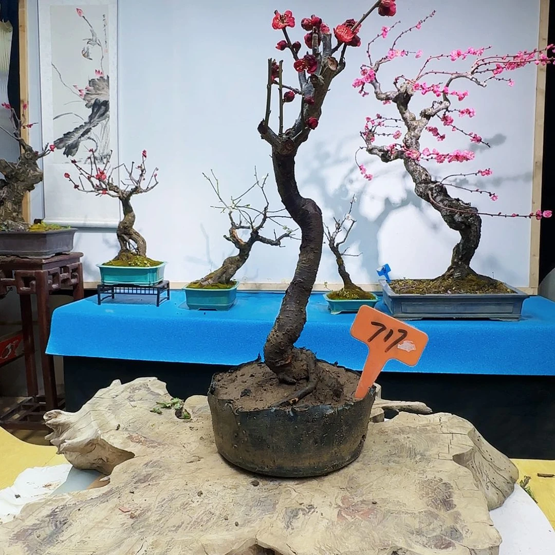 无铅玻璃m****fd f ghj kk