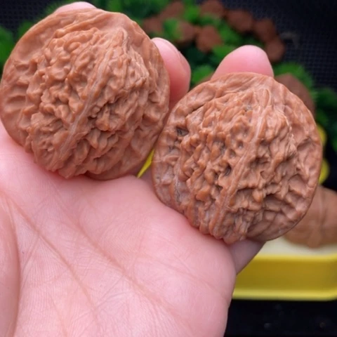 山地楼42全品111111