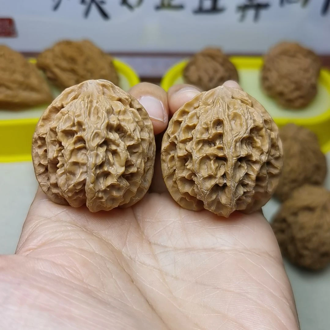 37尺全品苹果园 精配 高桩无药