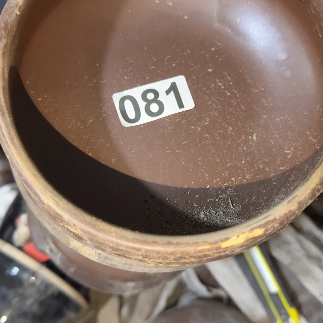 森***杨茶盏好吧你在干什么你想