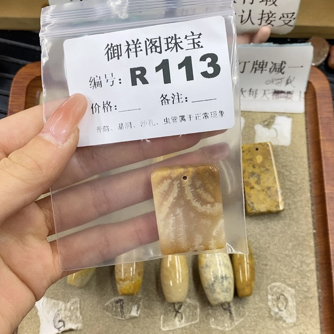 硅化珊瑚（珊瑚玉）未镶嵌颈饰大*