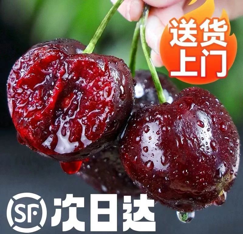 C【次日达现货现发】新鲜水果空运新鲜