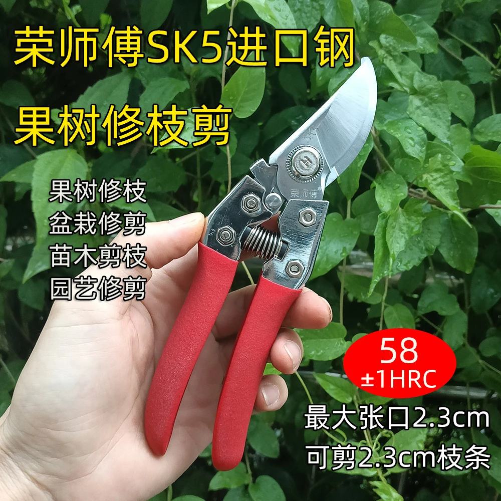 修枝专用剪刀果树粗枝家用盆栽树枝园艺工具多功能省力修花剪枝剪