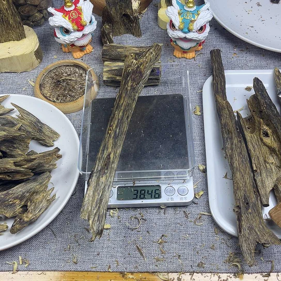 香料奇楠虫漏天然虫38克