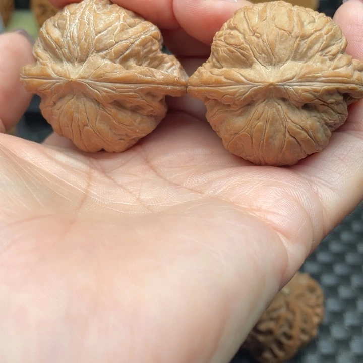 大***木40尺，精品战鼓打好底发货