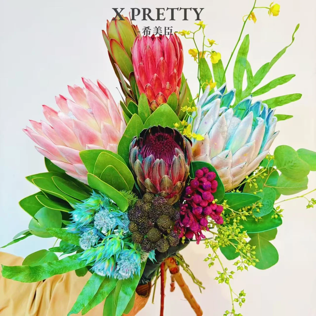 【繁花似锦】南非进口帝王花 高档手捧花干花花园庭院