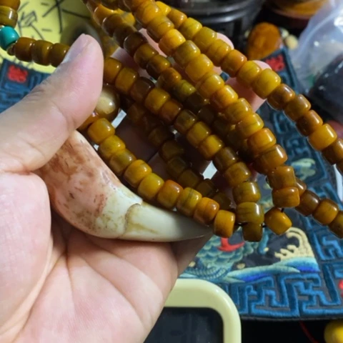 大哥专拍链接一号