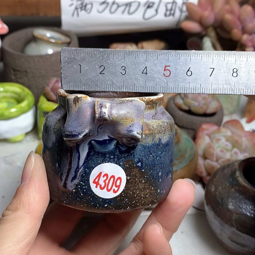 红陶开****拍5送一个小