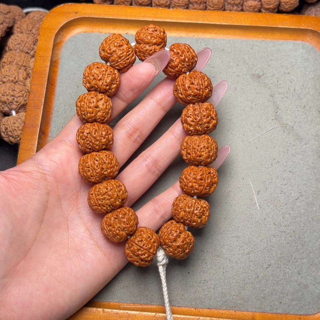 菩提12号金刚菩提梁小肉球21