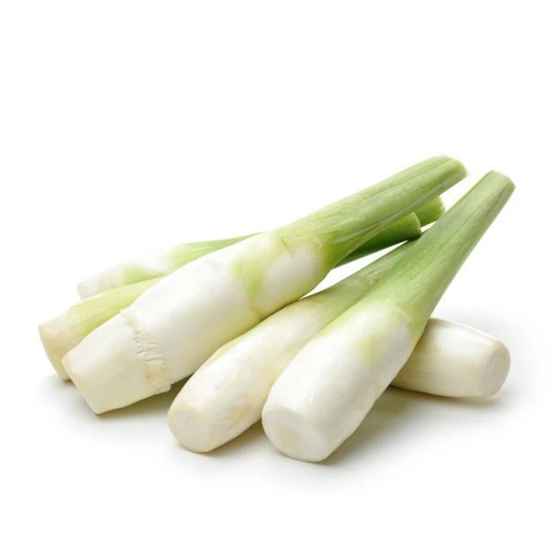 广东精选带壳茭白300-350g