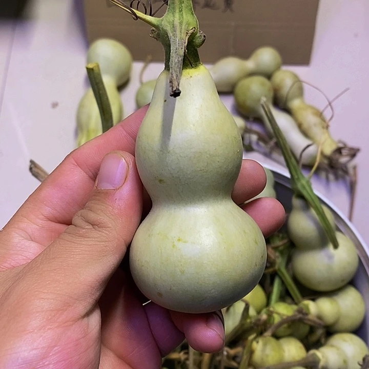 一**篮哈哈哈哈哈哈哈哈哈哈哈