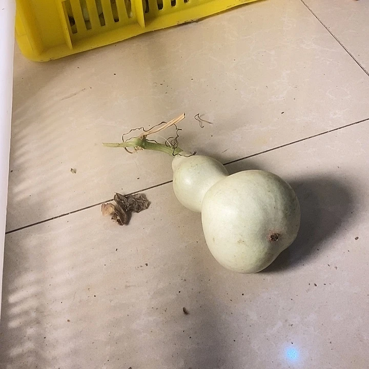 L***星青皮葫芦手把件葫芦