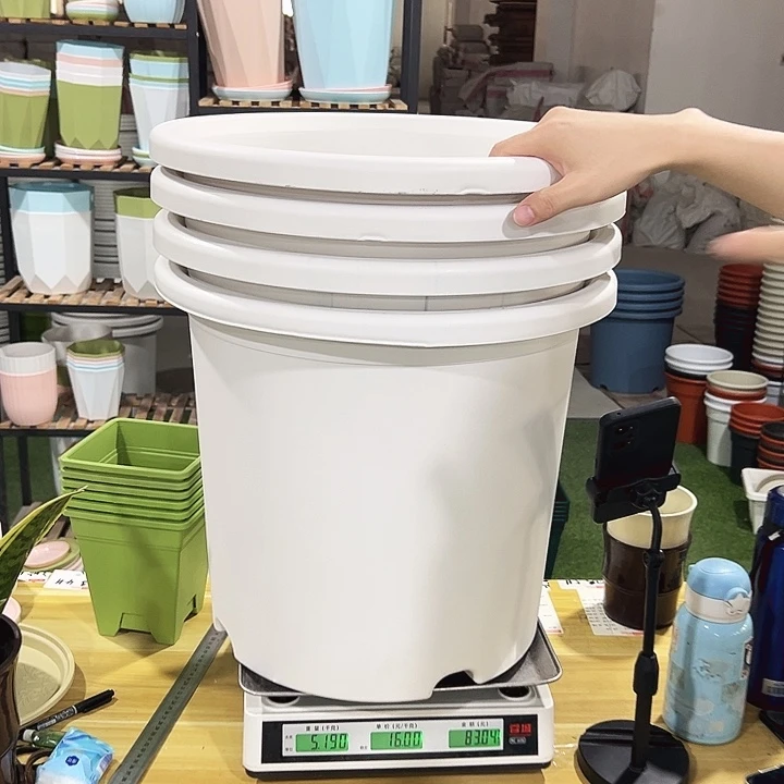 微瑕9号四季口46高40白色无托4只