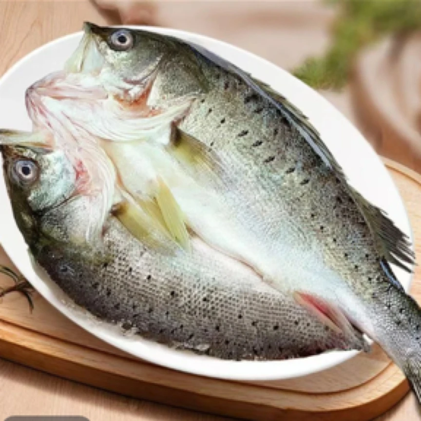 新鲜开背鲈鱼 500/600条 三去免处理去鳞腮脏