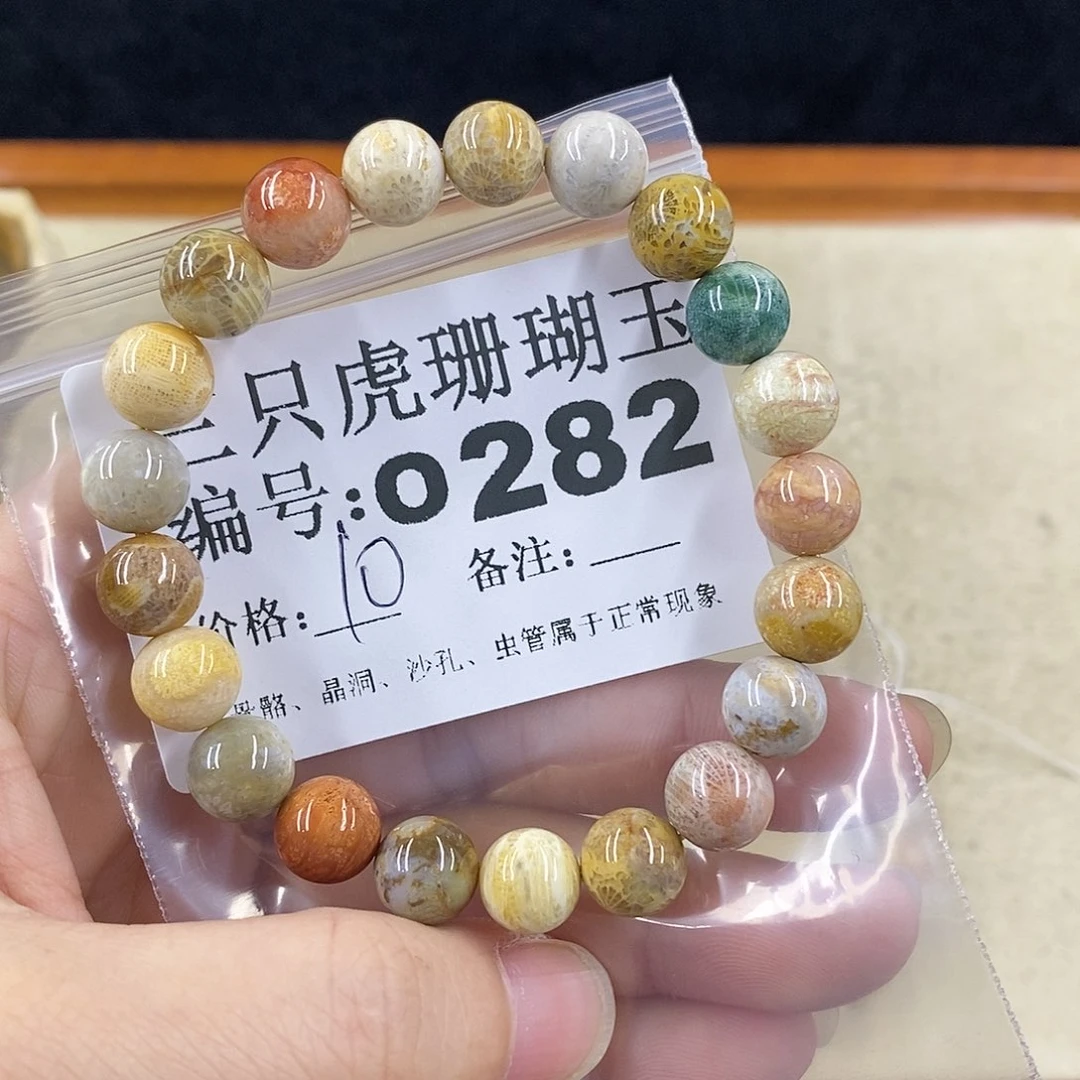 硅化珊瑚（珊瑚玉）1未镶嵌娜*