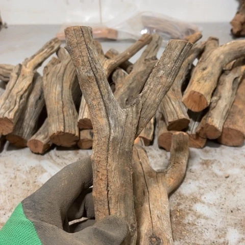 大果紫檀（缅甸花梨）S****意