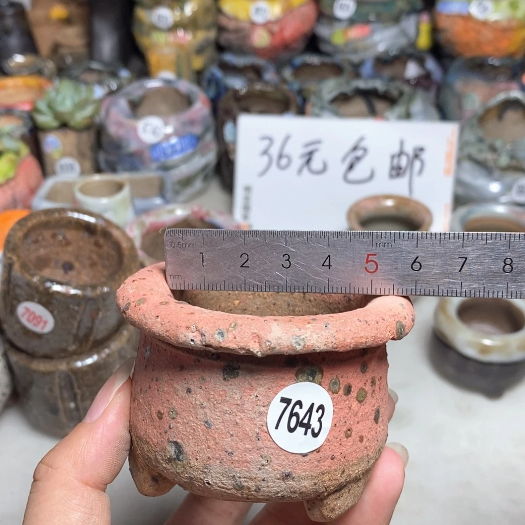 拍3送一个9.9拍5送一同款