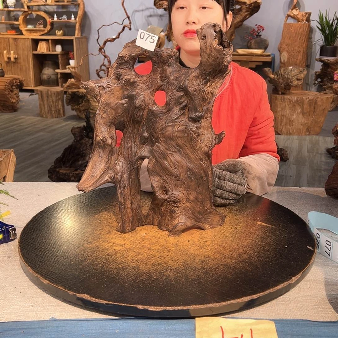 木周****2075fggggggggggv