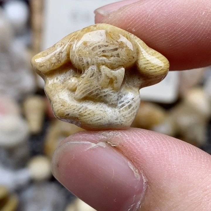 硅化珊瑚（珊瑚玉）未镶嵌颈饰小